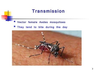 Transmission Vector female Aedes mosquitoes They tend to bite during the day   
