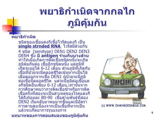พยาธิกำเนิดจากกลไกภูมิคุ้มกัน พยาธิกำเนิด ชนิดของเชื้อแดงกีเชื้อไวรัสแดงกี เป็น  single strnded RNA  ไวรัสมีด้วยกัน 4  ชนิด  (serotype) DEN1 DEN2 DEN3 DEN4  ซึ่ง  มี  antigen  ร่วมกันบางส่วน  ทำให้ เมื่ อเกิดการติดเชื้อชนิดหนึ่งจะเกิดภูมิคุ้มกันต่อ  เ ชื้ออีกชนิดหนึ่ง แต่ภูมิที่เกิดจะอยู่ได้  6-12  เดือน ส่วนภูมิที่เกิดกับเชื้อที่ป่วยจะมีตลอดชีวิตเช่นหากเป็นไข้เลือดออกจากเชื้อ  DEN1  ผู้ป่วยจะมีภูมิต่อเชื้อนี้ตลอดชีวิต  แต่จะมีภูมิต่อเชื้อแดงกีชนิดอื่นเพียง  6-12  เดือน เท่านั้นจาก ก ารศึกษาพบว่าการติดเชื้อซ้ำหรือการติดเชื้อครั้งที่สองจะเป็นสาเหตุของโรคแดงกีได้ถึงร้อยละ  80-90  เชื้อสายพันธ์ที่สอง  DEN2  เริ่มกลับมาพบมากขึ้นและมีอัตราการตายสูงเนื่องจากเป็นเชื้อที่หากเป็นแล้วจะเกิดอาการรุนแรงการ บทบาทของการตอบสนองของภูมิคุ้มกันชนิด เซลล์ Denque virus  มีผลทำให้ระดับ  CD4  และ   CD8  ลดลง 