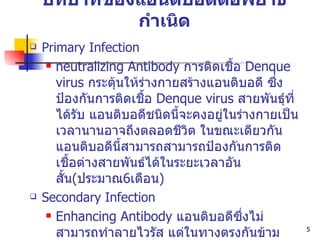 บทบาทของแอนติบอดีต่อพยาธิกำเนิด Primary Infection neutraliz ing Antibody  การติดเชื้อ  Denque virus  กระตุ้นให้ร่างกายสร้างแอนติบอดี ซึ่งป้องกันการติดเชื้อ  Denque virus  สายพันธุ์ที่ได้รับ แอนติบอดีชนิดนี้จะคงอยู่ในร่างกายเป็นเวลานานอาจถึงตลอดชีวิต ในขณะเดียวกันแอนติบอดีนี้สามารถสามารถป้องกันการติดเชื้อต่างสายพันธ์ได้ในระยะเวลาอันสั้น ( ประมาณ 6 เดือน ) Secondary Infection Enhancing Antibody  แอนติบอดีซึ่งไม่สามารถทำลายไวรัส แต่ในทางตรงกันข้ามกลับส่งเสริมการเพิ่มจำนวนของไวรัสในเซลล์เป้าหมาย 