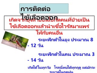 ระยะฟักตัวในยุง ประมาณ 8
- 12 วัน
ระยะฟักตัวในคน ประมาณ 3
- 14 วัน
เกิดได้ในทุกวัย โรคนี้พบได้ทุกฤดู แต่มักจะ
เกิดจากยุงลายบินไปกัดคนที่ป่ วยเป็ น
ไข้เลือดออกแล้วนาเชื้อไวรัสมาแพร่
ให้กับคนอื่น
การติดต่อ
ไข้เลือดออก
 