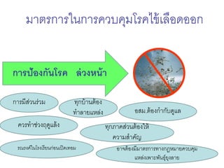 มาตรการในการควบคุมโรคไข้เลือดออก
การป้องกันโรค ล่วงหน้า
การมีส่วนร่วม ทุกบ้านต้อง
ทาลายแหล่ง อสม.ต้องกากับดูแล
ควรทาช่วงฤดูแล้ง ทุกภาคส่วนต้องให้
ความสาคัญ
รณรงค์ในโรงเรียนก่อนเปิดเทอม อาจต้องมีมาตรการทางกฏหมายควบคุม
แหล่งเพาะพันธุ์ยุงลาย
 