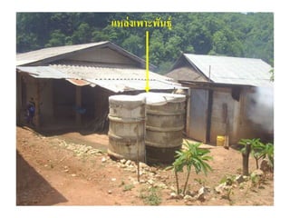 แหล่งเพาะพันธุ์
 