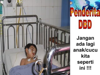 20 Feb 2008, Persit -Jkt Erna Trenaningsih
Jangan
ada lagi
anak/cucu
kita
seperti
ini !!!
 