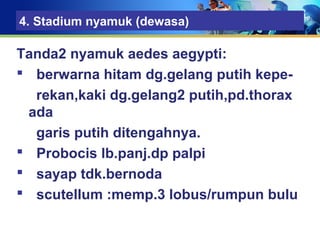 4. Stadium nyamuk (dewasa)
Tanda2 nyamuk aedes aegypti:
 berwarna hitam dg.gelang putih kepe-
rekan,kaki dg.gelang2 putih,pd.thorax
ada
garis putih ditengahnya.
 Probocis lb.panj.dp palpi
 sayap tdk.bernoda
 scutellum :memp.3 lobus/rumpun bulu
 