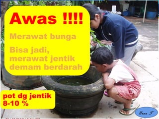 20 Feb 2008, Persit -Jkt Erna Trenaningsih
pot dg jentik
8-10 %
Awas !!!!
Merawat bunga
Bisa jadi,
merawat jentik
demam berdarah
Erna T
 