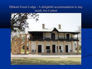 Dhikala Forest Lodge - A delightful accommodation to stay
                   inside Jim Corbett
 
