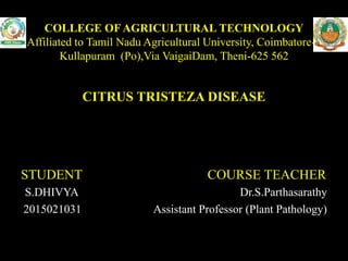 COLLEGE OFAGRICULTURAL TECHNOLOGY
(Affiliated to Tamil Nadu Agricultural University, Coimbatore-3)
Kullapuram (Po),Via VaigaiDam, Theni-625 562
CITRUS TRISTEZA DISEASE
STUDENT COURSE TEACHER
S.DHIVYA Dr.S.Parthasarathy
2015021031 Assistant Professor (Plant Pathology)
 