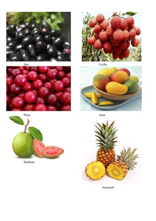 Jam Lechu
Plum Aam
Madhuri
Aanarash