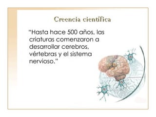 Creencia científica “ Hasta hace 500 años, las criaturas comenzaron a desarrollar cerebros, vértebras y el sistema nervioso.” 