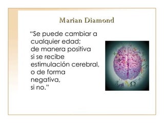Marian Diamond “ Se puede cambiar a cualquier edad;  de manera positiva  si se recibe  estimulación cerebral,  o de forma negativa,  si no.” 
