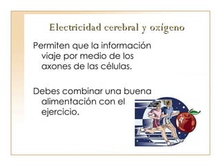 Electricidad cerebral y oxígeno Permiten que la información viaje por medio de los axones de las células. Debes combinar una buena alimentación con el ejercicio. 
