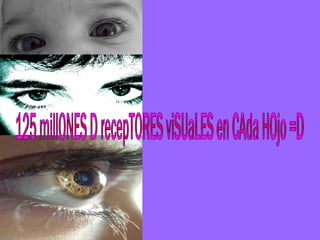 125 millONES D recepTORES viSUaLES en CAda HOjo =D 