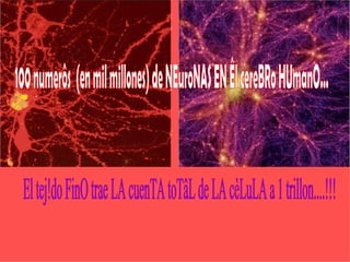 100 numerôs  (en mil millones) de NEuroNAS EN Êl cereBRo HUmanO... El tej!do FinO trae LA cuenTA toTâL de LA cèLuLA a 1 trillon....!!! 