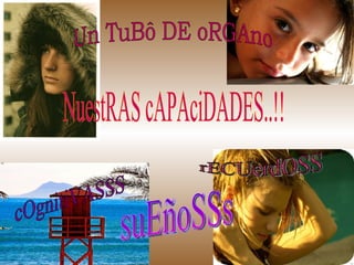Un TuBô DE oRGAno NuestRAS cAPAciDADES..!! cOgnitiVASSS rECUerdOSS suEñoSSs 