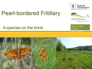 South Downs National Park Authority
A species on the brink
Pearl-bordered Fritillary
Dan Hoare
Butterfly
Conservation
 
