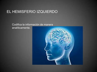 EL HEMISFERIO IZQUIERDO


  Codifica la información de manera
  analíticamente.
 