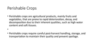 Perishable Tissue DHR 203 Post Harvest Technology of Perishables Crops.pptx