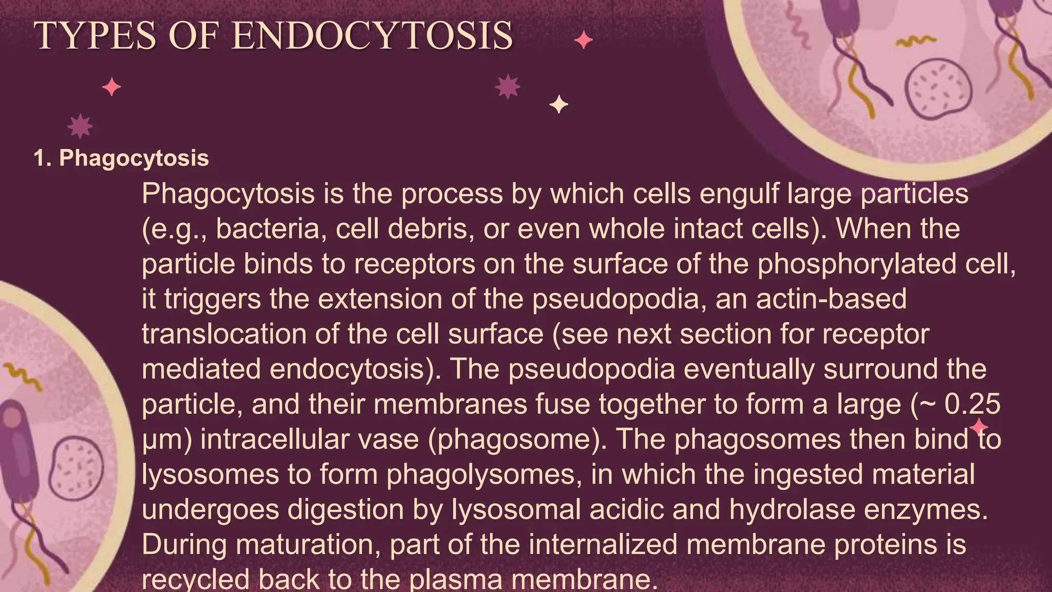 endocytosis and exocytosis vvvvvvvvvvvvv | PPTX