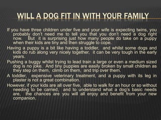 WILL A DOG FIT IN WITH YOUR FAMILY
If you have three children under five and your wife is expecting twins, you
probably don’t need me to tell you that you don’t need a dog right
now. But it is surprising just how many people do take on a puppy
when their kids are tiny and then struggle to cope.
Having a puppy is a bit like having a toddler, and whilst some dogs and
kids do rub along very nicely together, it can be very tough in the early
years.
Pushing a buggy whilst trying to lead train a large or even a medium sized
dog is no joke. And tiny puppies are easily broken by small children as
they step on them, climb on them, and trip over them.
A toddler, expensive veterinary treatment, and a puppy with its leg in
plaster is not a great combination.
However, if your kids are all over five, able to walk for an hour or so without
needing to be carried, and to understand what a dog’s basic needs
are, the chances are you will all enjoy and benefit from your new
companion.
 
