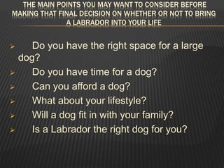 THE MAIN POINTS YOU MAY WANT TO CONSIDER BEFORE
MAKING THAT FINAL DECISION ON WHETHER OR NOT TO BRING
A LABRADOR INTO YOUR LIFE
 Do you have the right space for a large
dog?
 Do you have time for a dog?
 Can you afford a dog?
 What about your lifestyle?
 Will a dog fit in with your family?
 Is a Labrador the right dog for you?
 