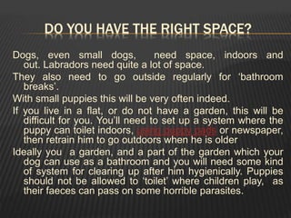 DO YOU HAVE THE RIGHT SPACE?
Dogs, even small dogs, need space, indoors and
out. Labradors need quite a lot of space.
They also need to go outside regularly for ‘bathroom
breaks’.
With small puppies this will be very often indeed.
If you live in a flat, or do not have a garden, this will be
difficult for you. You’ll need to set up a system where the
puppy can toilet indoors, using puppy pads or newspaper,
then retrain him to go outdoors when he is older
Ideally you a garden, and a part of the garden which your
dog can use as a bathroom and you will need some kind
of system for clearing up after him hygienically. Puppies
should not be allowed to ‘toilet’ where children play, as
their faeces can pass on some horrible parasites.
 