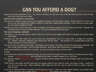 CAN YOU AFFORD A DOG?
Dogs can be quite expensive to run. You need to consider not only how much a labrador will cost you to buy, but also
how much it will cost you to keep.
How much do Labradors cost to buy?
The price of a Labrador puppy will vary from breeder to breeder, and from place to place. At the moment (in 2015) in the
UK you can pay anything from £650 to £850 for a well bred, health tested Labrador. In the USA as a rough guide,
you are looking at $800 to $1200.
Perhaps you know a friend that has a litter of puppies and they are going to let you have one for free. However, the
purchase price of a dog is almost irrelevant. It is such a small part of the final cost.
The cost of keeping a Labrador
The reality is, you are also going to need to fork out a chunk of your wages each week on keeping your pooch happy
and healthy.
Obviously you will have taken the cost of food into consideration, but it is a good idea to budget for insurance
too. Modern veterinary treatment has simply gone ‘off the radar’. Not because it is unreasonably priced, but
simply because it is now so advanced.
You can fix a lot of problems these days. No longer is ‘put to sleep’ the option of choice for most serious ailments. We
can do open heart surgery, mend complex fractures, treat cancer with radiotherapy or chemotherapy.
Pretty much anything you can treat in a human, you can now treat in a dog. And the catch?
It costs.
If you don’t have access to substantial savings, one way to avoid the burden of huge vet fees is to make sure your dog is
insured. Veterinary insurance will most likely set you back a week’s wages or so, each year.
You will also need to vaccinate your dog against common canine nasties and this will probably need to be done each
year too.
There will be a few other one-off costs such as a puppy crate for your home for when your dog is young, another for
your car if you have one, bowls, bedding, collar, leash etc. But you may be able to borrow a crate or get one
second hand.
If you like to holiday abroad or anywhere that the dog can’t come, unless you have helpful relatives, you will also need
 