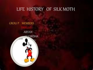 LIFE HISTORY OF SILK MOTH 
GROU P MEMBERS 
DHRUVI 
ARYAN 
AKANKSHA 
SHRUTI 
SNEHA 
 