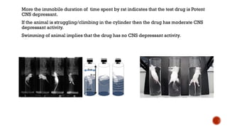 More the immobile duration of time spent by rat indicates that the test drug is Potent
CNS depressant.
If the animal is struggling/climbing in the cylinder then the drug has moderate CNS
depressant activity.
Swimming of animal implies that the drug has no CNS depressant activity.
 