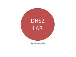 DHS2
 LAB

By : Khawla Khalid
 