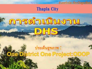 Thapla City 
 