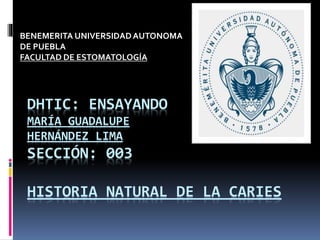 DHTIC: ENSAYANDO
MARÍA GUADALUPE
HERNÁNDEZ LIMA
SECCIÓN: 003
HISTORIA NATURAL DE LA CARIES
BENEMERITA UNIVERSIDADAUTONOMA
DE PUEBLA
FACULTAD DE ESTOMATOLOGÍA
 