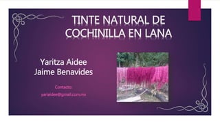 Yaritza Aidee
Jaime Benavides
Contacto:
yariaidee@gmail.com.mx
TINTE NATURAL DE
COCHINILLA EN LANA
 