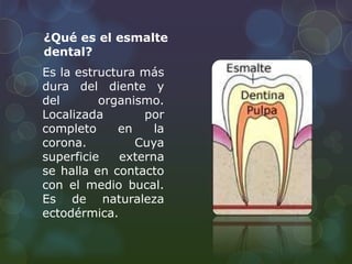 ¿Qué es el esmalte 
dental? 
Es la estructura más 
dura del diente y 
del organismo. 
Localizada por 
completo en la 
corona. Cuya 
superficie externa 
se halla en contacto 
con el medio bucal. 
Es de naturaleza 
ectodérmica. 
 