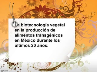 La biotecnología vegetal
en la producción de
alimentos transgénicos
en México durante los
últimos 20 años.
 