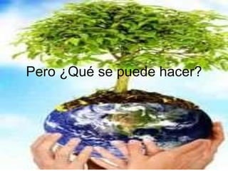 Pero ¿Qué se puede hacer? 