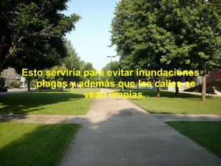 Esto serviría para evitar inundaciones ,plagas y además que las calles se vean limpias. 