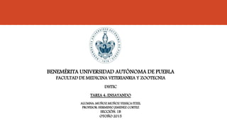 BENEMÉRITA UNIVERSIDAD AUTÓNOMA DE PUEBLA
FACULTAD DE MEDICINA VETERIANRIA Y ZOOTECNIA
DHTIC
TAREA 4: ENSAYANDO
ALUMNA: MUÑOZ MUÑOZ YESSICA ITZEL
PROFESOR: HERMINIO JIMENEZ CORTEZ
SECCIÓN: 1B
OTOÑO 2015
 