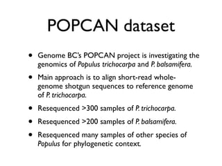 POPCAN dataset
•

Genome BC’s POPCAN project is investigating the
genomics of Populus trichocarpa and P. balsamifera.

•

...
