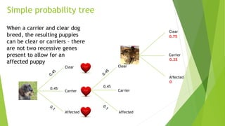 Clear
Affected
Carrier
0.45
Clear
Carrier
0.45
Affected
Clear
Carrier
Affected
0.75
0.25
0
When a carrier and clear dog
breed, the resulting puppies
can be clear or carriers – there
are not two recessive genes
present to allow for an
affected puppy
Simple probability tree
 
