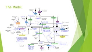 Stray dogs
Dogs in welfare
Owned dogs
Owned births
Owned
deaths
Stray births
Stray deaths
Welfare
births
Welfare deaths
Owned dogs to welfare
Welfare dogs to owned
Owned dogs to stray
Stray dogs to owned
Stray dogs to welfare
Imported owned dogs
Dogs imported to
welfare
Owned dog
exports
Number of dogs
microchipped
Owner education
level re dogs
Welfare life expectancy
Owned dog life
expectancy
Stray dog life
expectancy
Space available in
welfare
Euthanasia policy
Emmigration
Number of dog
breeders
Number of puppy
farms
Funding for welfare
Welfare capacity
Demand for
dogs in UK
Number of
owned dogs
having puppies
Demand for dogs -
non-UK
Disposable income
Insurance rates
Number of
dogs lost
Number of
dogs
abandoned
Number of dogs
neutered
9.4m (23)
2009 LB: 12,340
2010 LB:10,630
est 1,250 (300
to 2130)
111,000 per
year (13)
Strays back to owner -
53,280 per year (13)
Rehomed - 9,990
per year (13)
Put to sleep/die 8,880
per year (13)
Working dogs
27,750 per year (13)
Entering welfare:
129,743 per year (1)
0.5% of welfare in
flows (27, scaled)
11.4% of outflow died (27)
LB 7142 euthanised (1)
Assume 0
Welfare dogs reunited with
owner - 12.5% of those
entering = 16,218 (1). 7.7%
of those entering (27)
Rehomed - 80.9%
of outflows (27)
69.5% of welfare
inflows (27, scaled)
30% of welfare inflows (27,
scaled) - this includes LA and
public straying dogs
11.4% of dogs per
year? (36)
25% of dogs per
year? (est from
24, 41)
12 years (34)
4% of microchipped are from Ireland,
3% from other EU, 2% from outside
EU - needs scaling up by 2% (24)
50,000 dogs imported
from Ireland per year (31)
Working dogs
to owned
greyhounds - 3,910
per year (33)
Working
dog births
Working
dog deaths
Working dog life
expectancy
Requirements for
working dogs
Working dogs to
welfareAt least 2500
police dogs
(45)
The Model
 