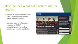 How the RSPCA has been able to use the
results
 Helping to scope the direction of
their campaign to tackle the
illegal trade in puppies
 Using the data to inform their
response to DEFRA’s
consultation on overhauling
existing pet vending legislation
 
