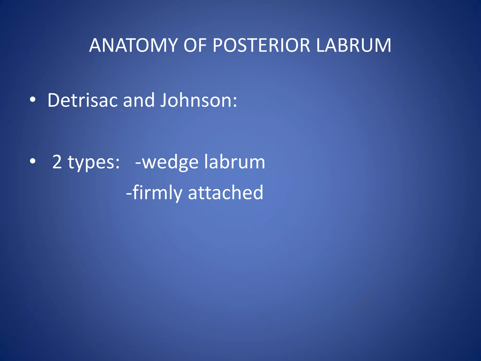 ANATOMY OF POSTERIOR LABRUM 
• Detrisac and Johnson: 
• 2 types: -wedge labrum 
-firmly attached 
 