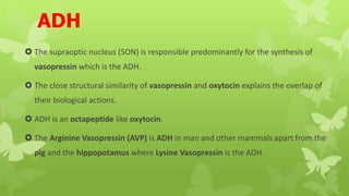 ADH
 The supraoptic nucleus (SON) is responsible predominantly for the synthesis of
vasopressin which is the ADH.
 The close structural similarity of vasopressin and oxytocin explains the overlap of
their biological actions.
 ADH is an octapeptide like oxytocin.
 The Arginine Vasopressin (AVP) is ADH in man and other mammals apart from the
pig and the hippopotamus where Lysine Vasopressin is the ADH.
 