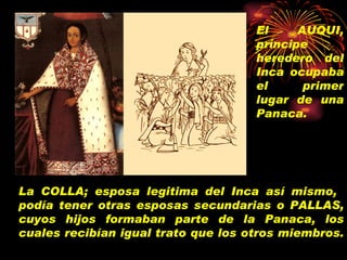 El AUQUI, príncipe heredero del Inca ocupaba   el primer lugar de una Panaca. La COLLA; esposa legitima del Inca así mismo,  podía tener otras esposas secundarias o PALLAS, cuyos hijos formaban parte de la Panaca, los cuales recibían igual trato que los otros miembros.   