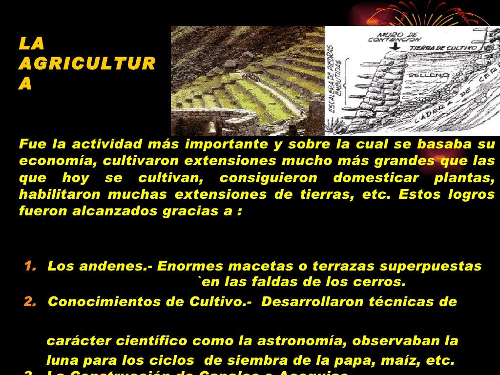 <ul><li>Los andenes.- Enormes macetas o terrazas superpuestas  `en las faldas de los cerros. </li></ul><ul><li>Conocimient...