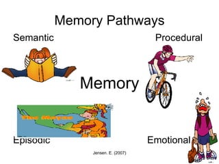 Memory Pathways Semantic   Procedural Memory Episodic  Emotional 