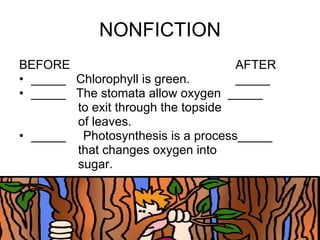 NONFICTION BEFORE   AFTER _____  Chlorophyll is green.   _____ _____  The stomata allow oxygen  _____ to exit through the topside of leaves. _____ Photosynthesis is a process_____ that changes oxygen into sugar. 