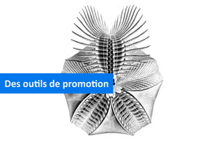 Des	
  ou2ls	
  de	
  promo2on
 