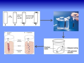 Dialysis | PPTX