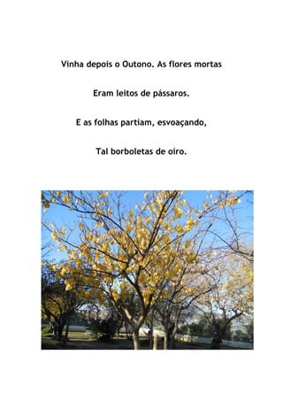 Vinha depois o Outono. As flores mortas
Eram leitos de pássaros.
E as folhas partiam, esvoaçando,
Tal borboletas de oiro.
 